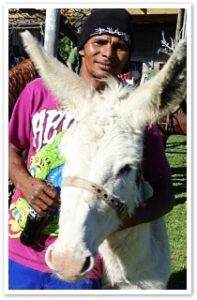 Dolla the Donkey
